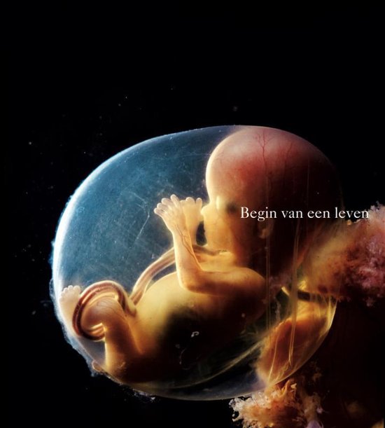 Fetus in baarmoeder. Tekst: Begin van een leven.