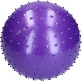 BDO Playball Educational - idéal pour l'intérieur - 25cm - Grand Format - Violet