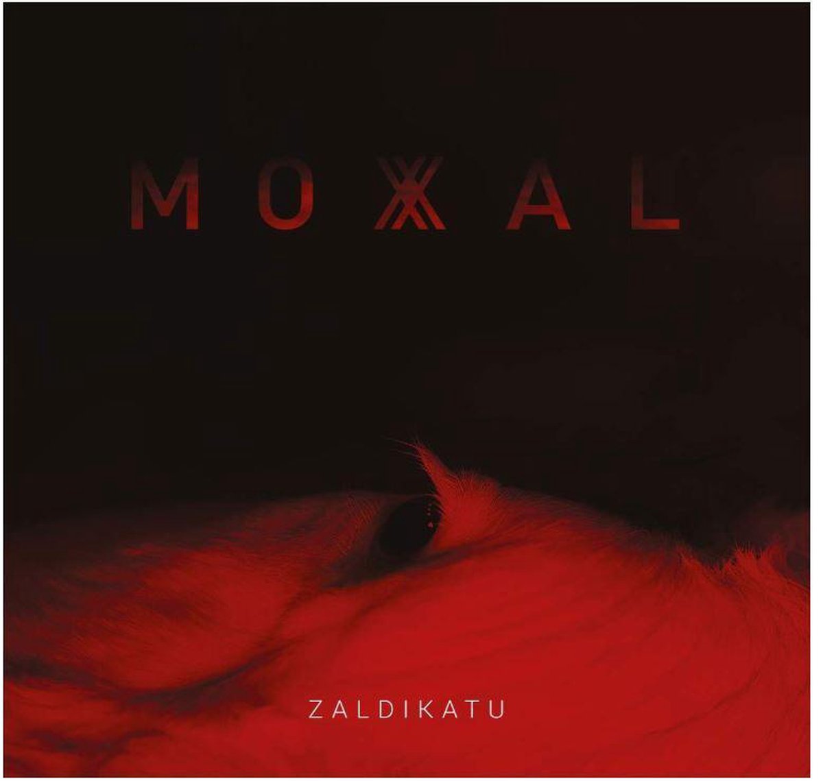 Zaldikatu