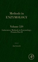 Laboratory Methods In Enzymology: Protein