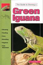 The Guide to Owning a Green Iguana