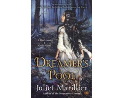 Dreamer's Pool