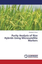 Purity Analysis of Rice Hybrids Using Microsatellite Markers