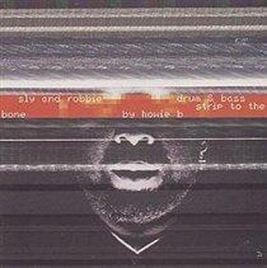 Strip To The Bone By Howie B