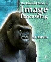 Essential Guide To Image Processing
