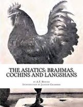 Chicken Breeds-The Asiatics