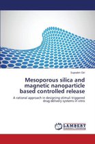 Mesoporous Silica and Magnetic Nanoparticle Based Controlled Release