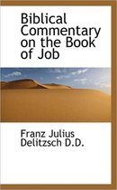 Biblical Commentary on the Book of Job