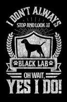 I Don't Always Stop and Look At Black Lab OH Wait, Yes I Do!