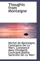 Thoughts from Montaigne