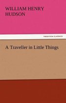 A Traveller in Little Things