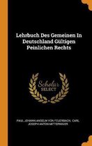 Lehrbuch Des Gemeinen in Deutschland G ltigen Peinlichen Rechts