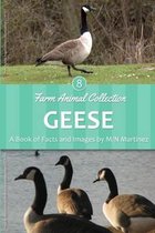 Geese