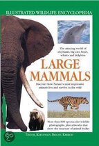 Large Mammals