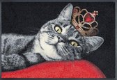 Paillasson - ROYAL CAT - 50x75 cm