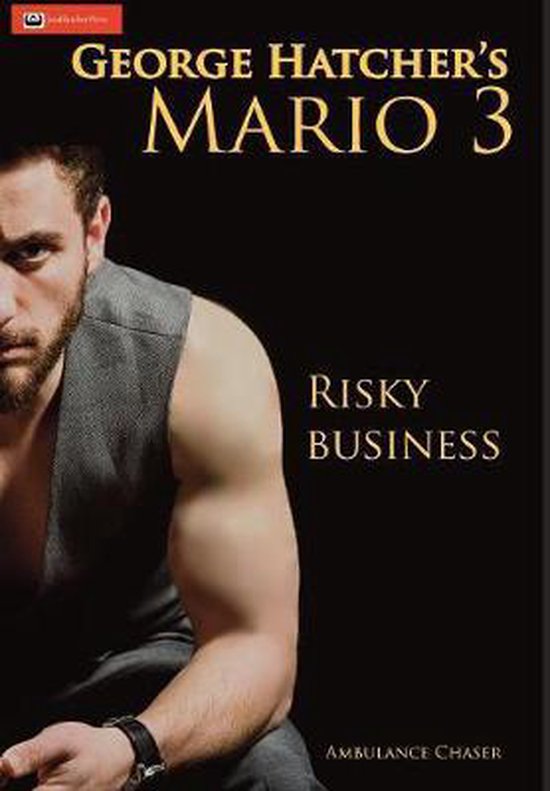 Mario 3 Risky Business - cover