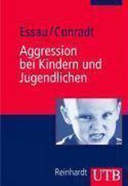 Aggression bei Kindern und Jugendlichen