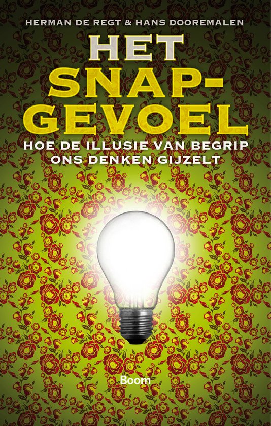 Het snapgevoel
