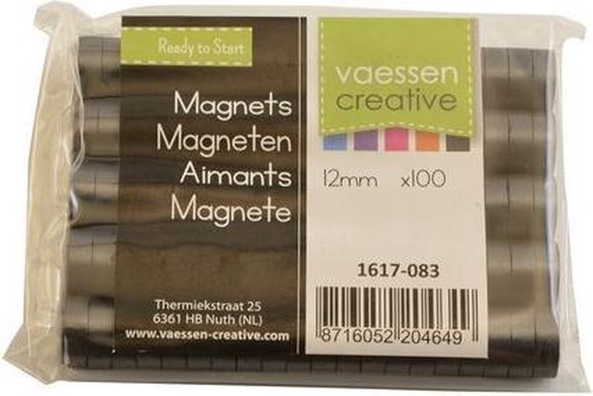 Vaessen Creative Magneten - Ø12x4mm - 100 stuks