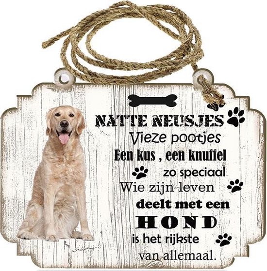 Chien disant: Golden Retriever