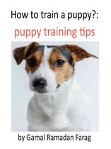 How To Train A Puppy?:Puppy Training Tips