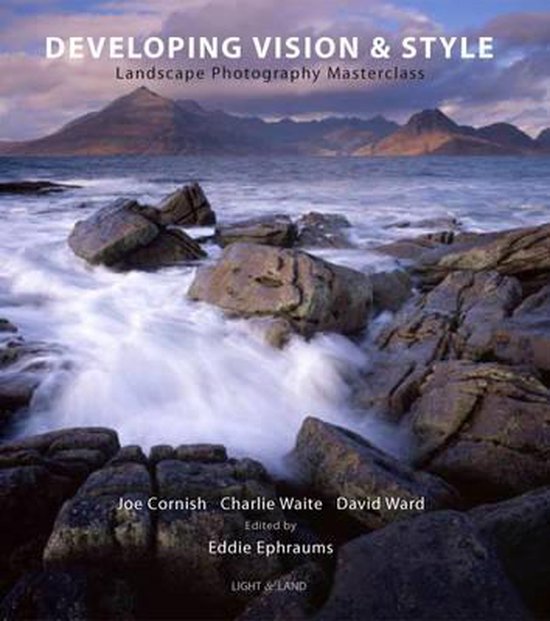 Developing Vision And Style