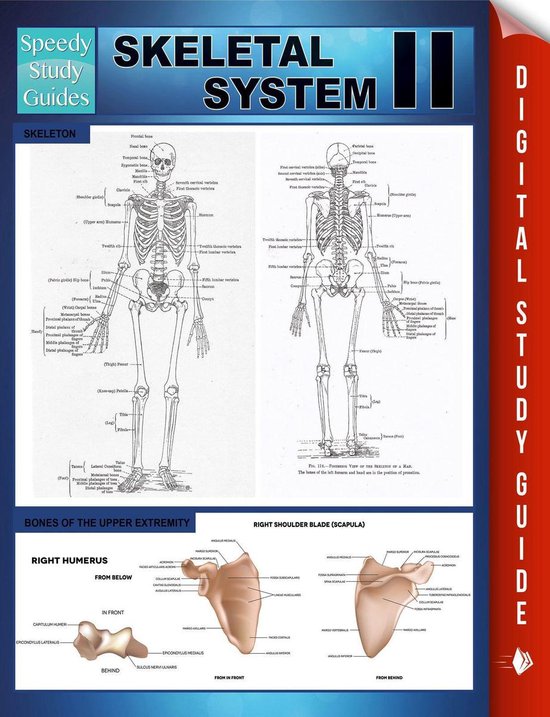 Skeletal System II (Speedy Study Guides) - cover