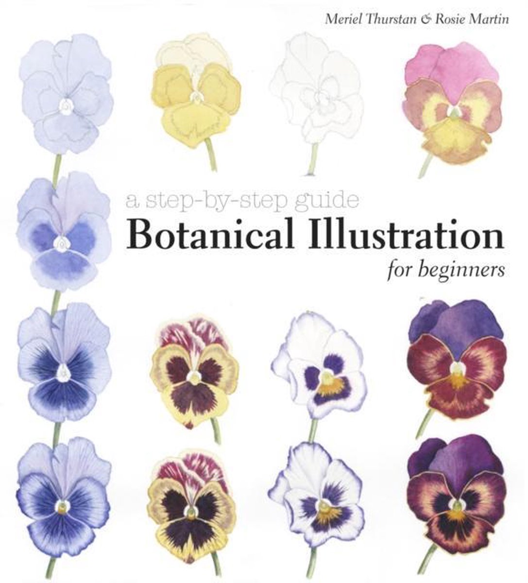 Botanical Illustration For Beginners - Meriel Thurstan