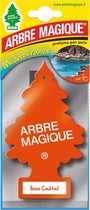 Arbre Magique Luchtverfrisser 12 X 7 Cm Ibiza Cokctail Oranje