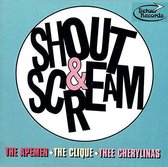 Various Artists - Shout & Scream (CD)