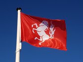NR 311: Vlag Twente 225x150 cm. Twentse Ros vlag.