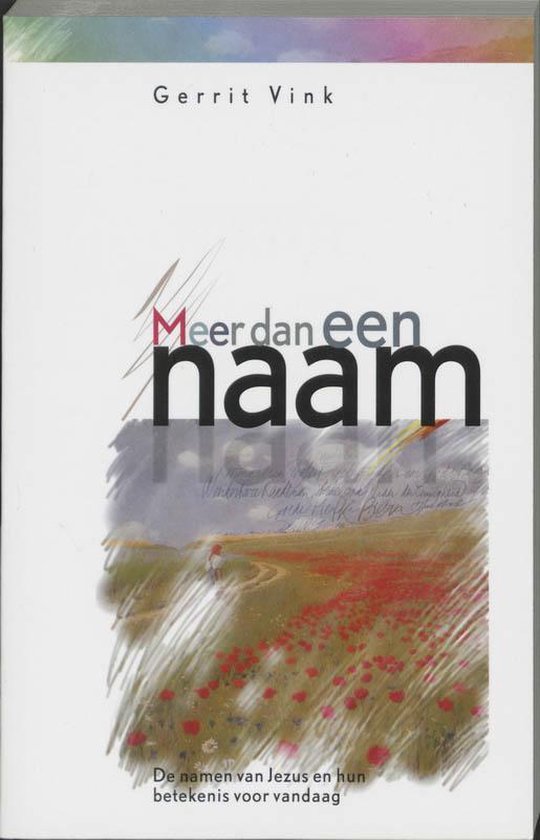 Cover van het boek 'Meer dan een naam' van Gerrit Vink