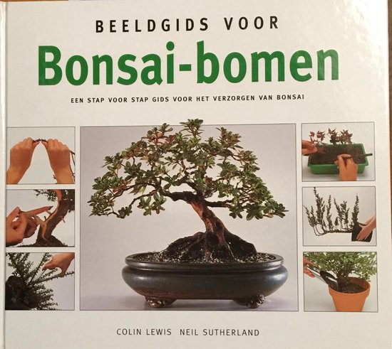9789036609012 - Beeldgids voor bonsai-bomen