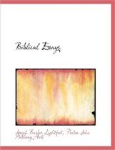Biblical Essays
