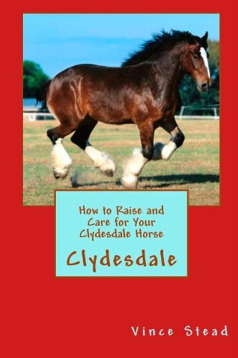 How to Raise and Care for Your Clydesdale Horse - Vince Stead