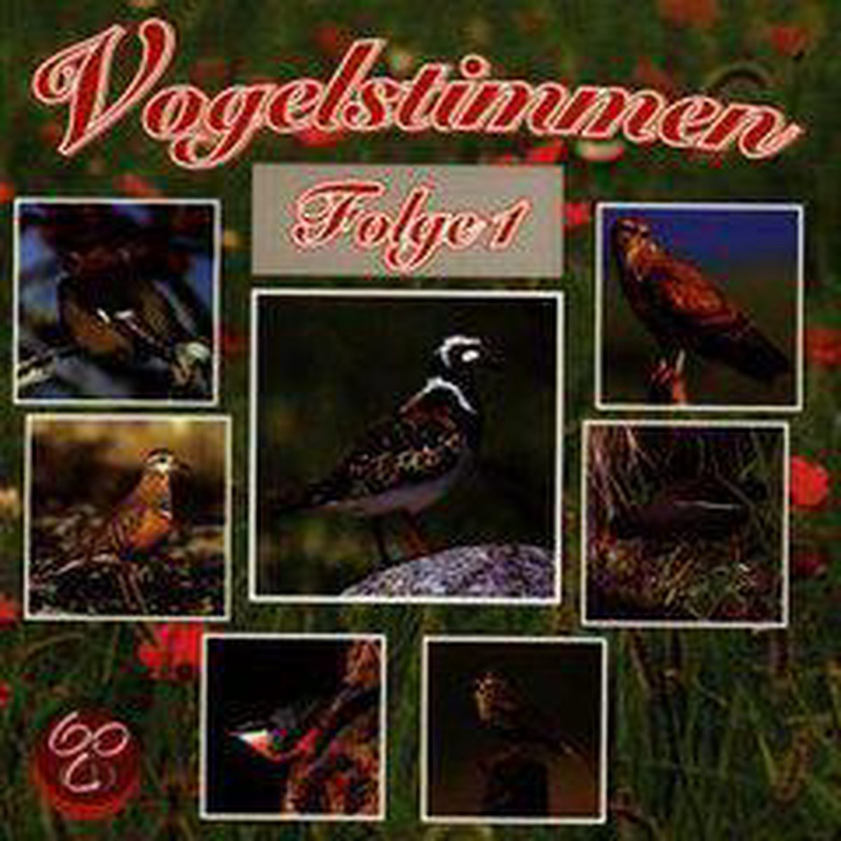 Vogelstimmen Folge 1