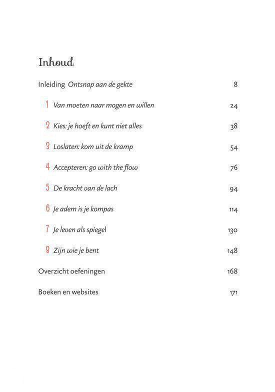 Inhoudsopgave van een boek met de titel 'Meer rust in je hoofd'. Lijst met hoofdstukken zoals 'Ontsnap aan de gekte' en 'Loslaten'.