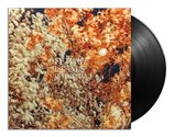 In The Fall (Copper) (LP)