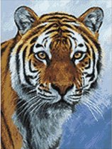 Wizardi Diamond Painting Tiger