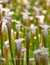 Carnivorous Plants in the Wilderness