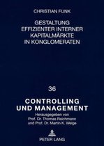 Gestaltung Effizienter Interner Kapitalmaerkte in Konglomeraten