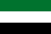 Verenigde Arabische Emiraten vlag 100x150cm - Spunpoly