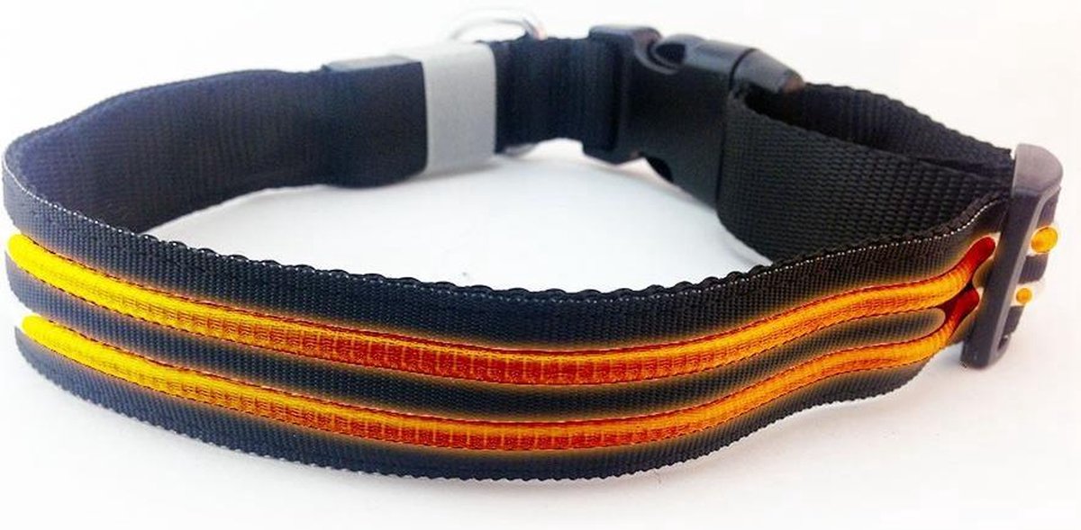 Haast je abces Hoopvol LED Halsband Oplaadbaar Oranje 35 - 40 cm - PX1 Hilox | bol.com