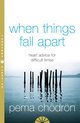 Boekcover 'When Things Fall Apart' met titel en naam auteur boven een foto van palen in het water.