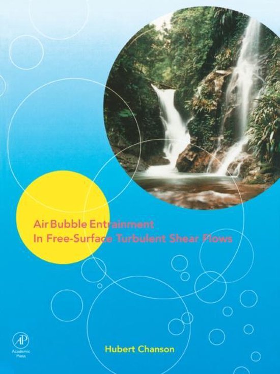 Air Bubble Entrainment in FreeSurface Turbulent Shear Flows