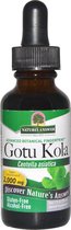 Gotu Kola,  Alcohol-Free (30 ml) – Nature's Answer