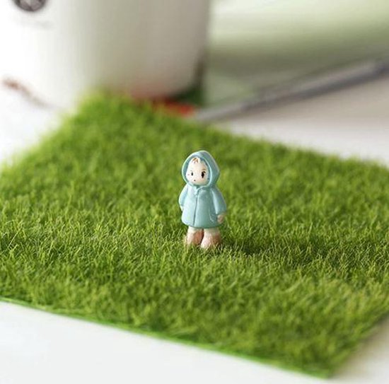 Foto: Miniatuur gras poppenhuis decoratie 1 stuks