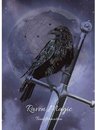 Karin Roberts Wenskaart Raven Magic