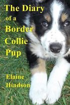 The Diary of a Border Collie Pup