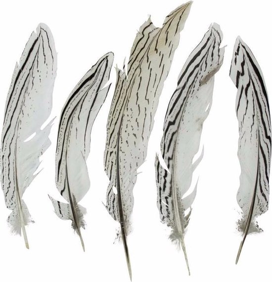 5x stuks Zilver fazanten vogel veren 18 cm - Decoratie veertjes | bol.com